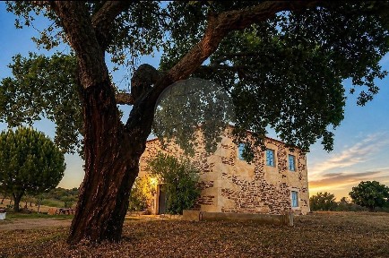 Quinta à venda em Pedrógão de São Pedro e Bemposta