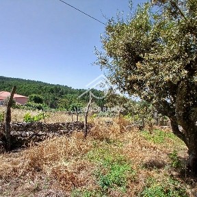 Moradia geminada à venda em Proença-a-Nova e Peral
