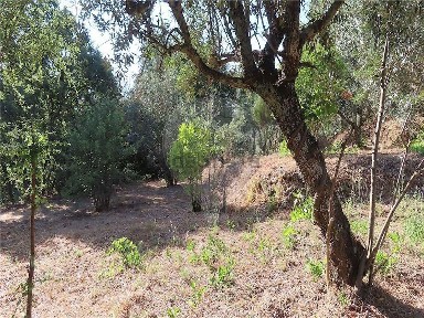 Quinta à venda em Póvoa de Atalaia e Atalaia do Campo