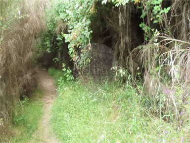 Quinta à venda em São Vicente da Beira