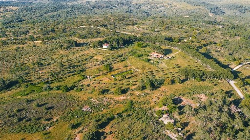 Herdade à venda em Castelo Branco
