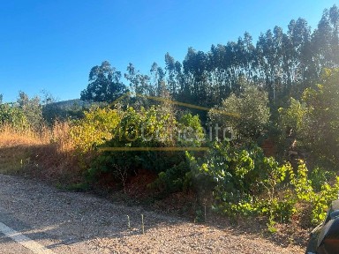 Herdade à venda na Rua de São Pedro