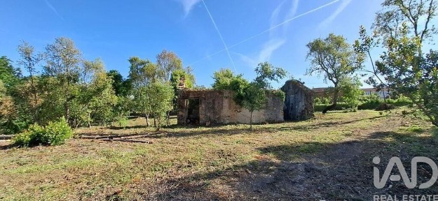 Pedrógão Grande, Leiria