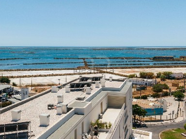 Faro