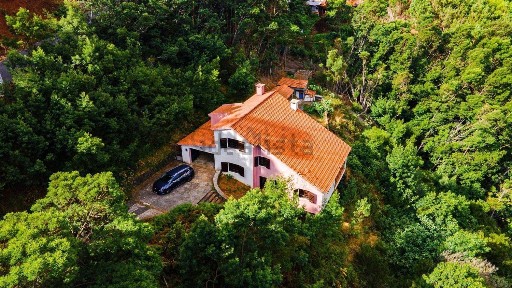 Quinta à venda na Estrada Engenheiro Abel Vieira