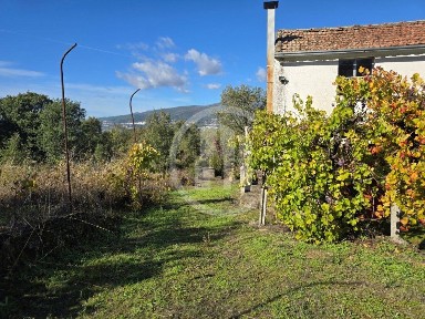 Covilhã, Castelo Branco