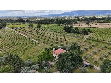 Herdade à venda em Orca