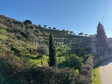 Quinta à venda na Rua do Vale, 1
