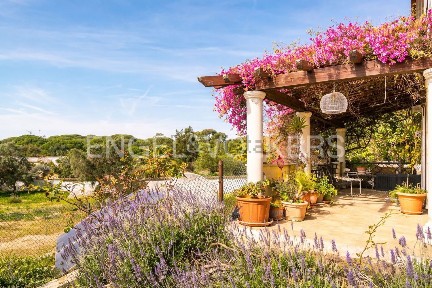 Casa ou moradia à venda na The Village - Fonte Algarve - Quinta Verde