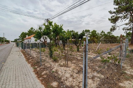 Casa ou moradia à venda na Rua da Várzea
