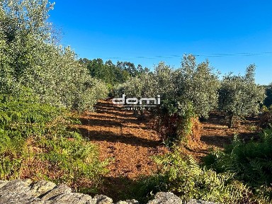 Quinta à venda em Pinho