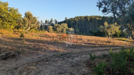 Pedrógão Grande, Leiria