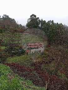 Moradia independente à venda em Sande - Vilarinho - Barros - Gomide