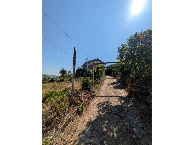 Quinta à venda na Rua da Portela, 101