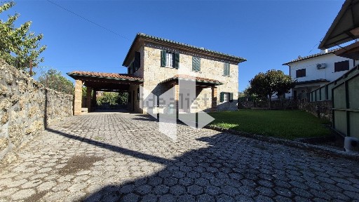 Tondela, Viseu