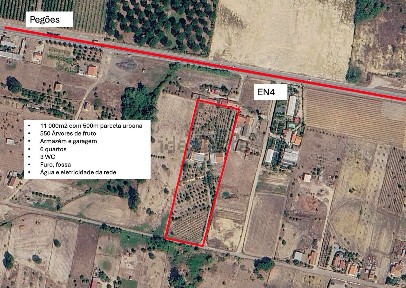 Quinta à venda em Pegões