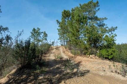 Herdade à venda em Embarradouro Velho s/n