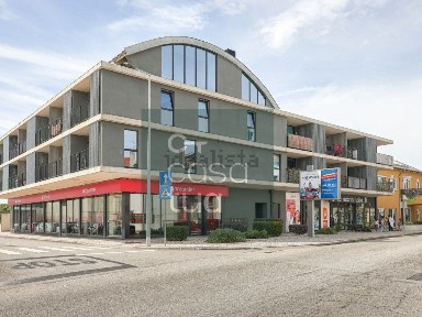 Estarreja, Aveiro