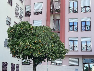 Apartamento T3 à venda na Praça da Ordem de Cristo