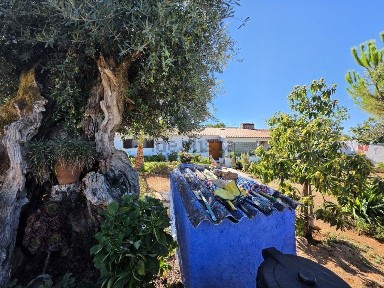 Quinta à venda em Glória