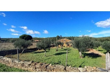 Quinta à venda em Alegrete