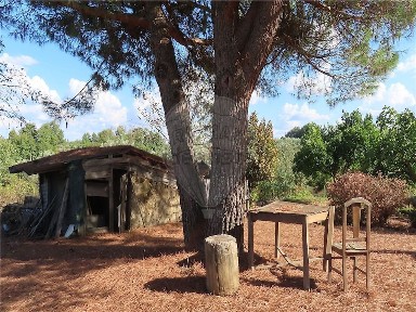 Quinta à venda no Bairro de Santa Madalena