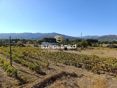 Quinta à venda em Belmonte
