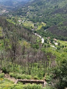 Santa Ovaia