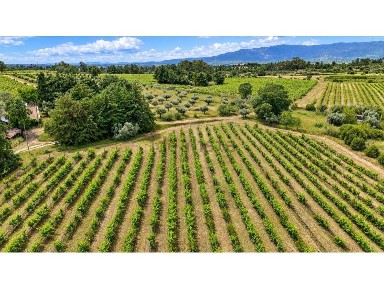 Herdade à venda em Orca