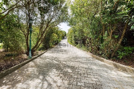 Quinta à venda em Estr. da Serralheira de Cima