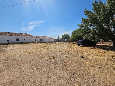 Quinta à venda em Santa Maria e Santo André