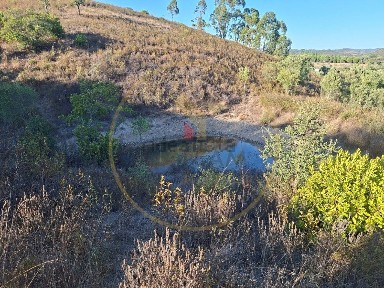 Moradia independente à venda em rochinha do monte branco