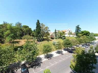 Avenidas Novas, Bairro Azul - Parque Eduardo VII, Avenida Sidónio Pais