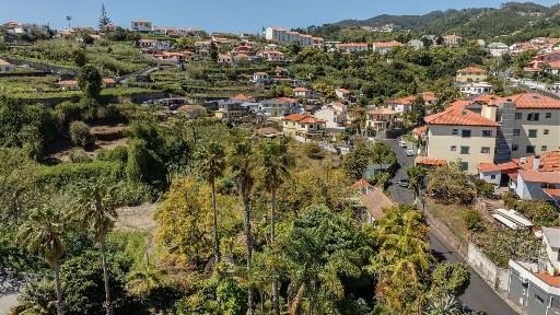 Quinta à venda na Rua da Abegoaria