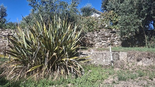 Quinta à venda em Bodiosa
