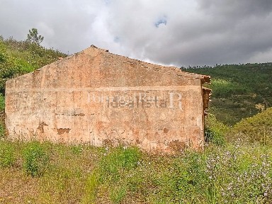 Quinta à venda em São Teotónio