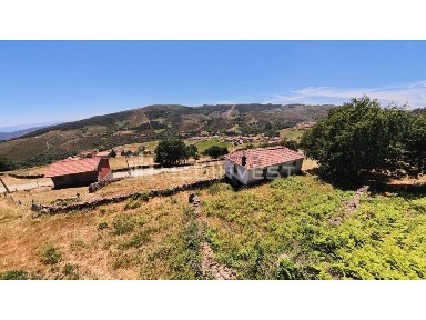 Quinta à venda na Rua Cano Cemitério