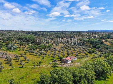 Herdade à venda em Monte da Pedra