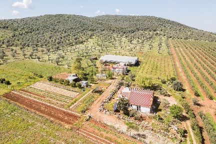Moradia independente à venda em Olival da Prima