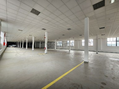 Paranhos, Areosa - Fernão de Magalhães, Rua Doutor Eduardo Santos Silva