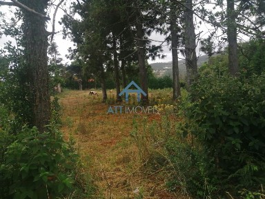 Quinta à venda em Santo António da Serra