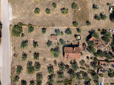 Moradia independente à venda em Tomar e Santa Maria dos Olivais