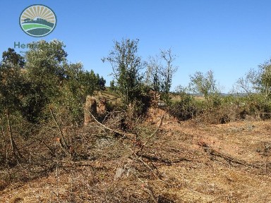 Herdade à venda em Cercal