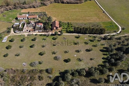 Quinta à venda em São Pedro - Lapas - Ribeira Branca
