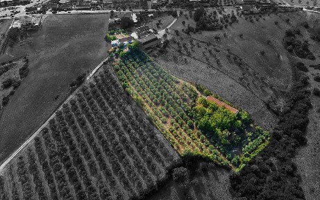 Moradia independente à venda em Azoia de Cima e Tremês