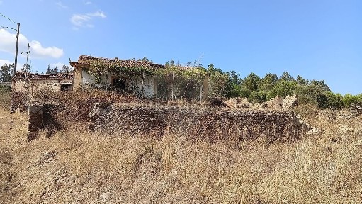 Quinta à venda em Mouriscas
