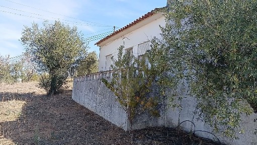 Quinta à venda em Mouriscas