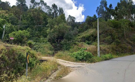Monchique, M501