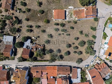 Moradia independente à venda em Tomar e Santa Maria dos Olivais