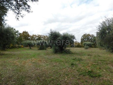 Quinta à venda em Fundão - Valverde - Donas - Aldeia de Joanes - Aldeia Nova do Cabo